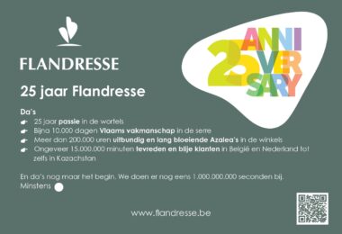 FLANDRESSE 25Y flyer f