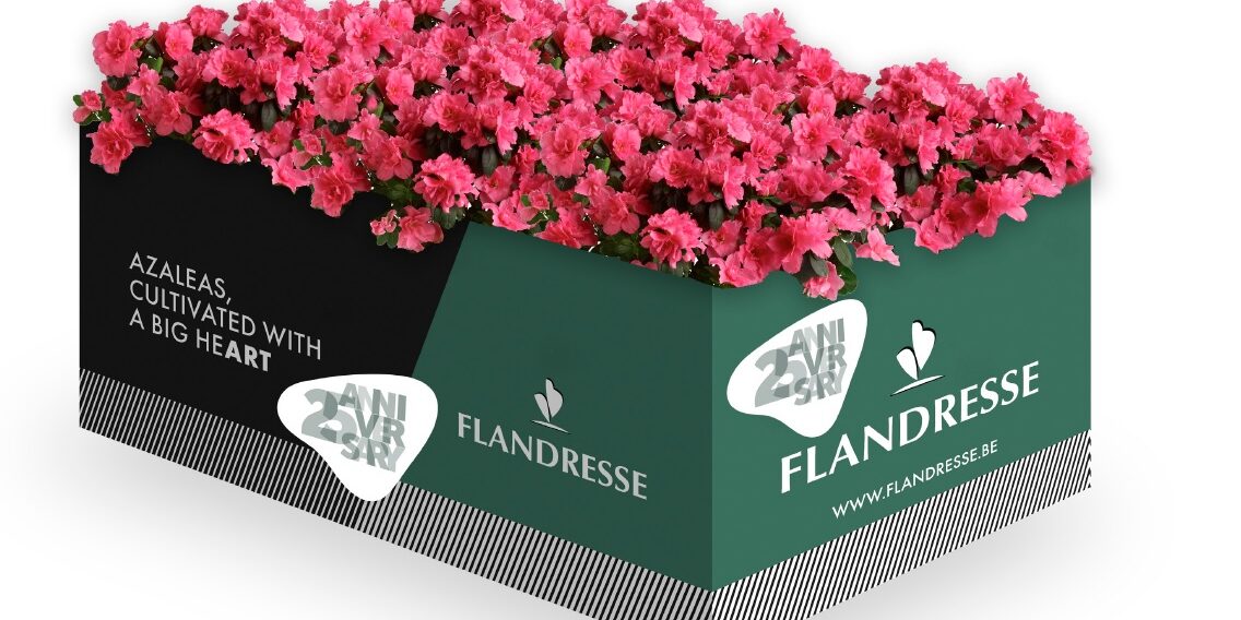 FLANDRESSE 25Y BOX